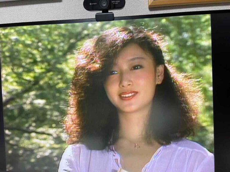 「ザ・商社」NHK DVD を一気鑑賞　夏目雅子さんは美しい
